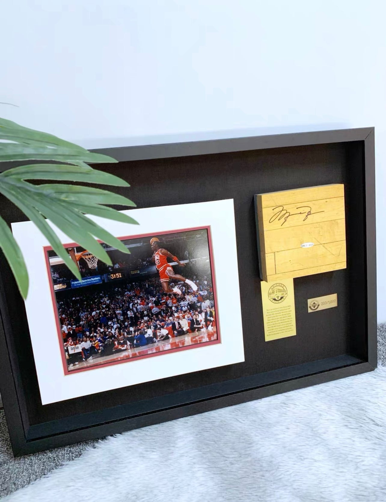 Michael Jordan Collectible Item Custom Framed