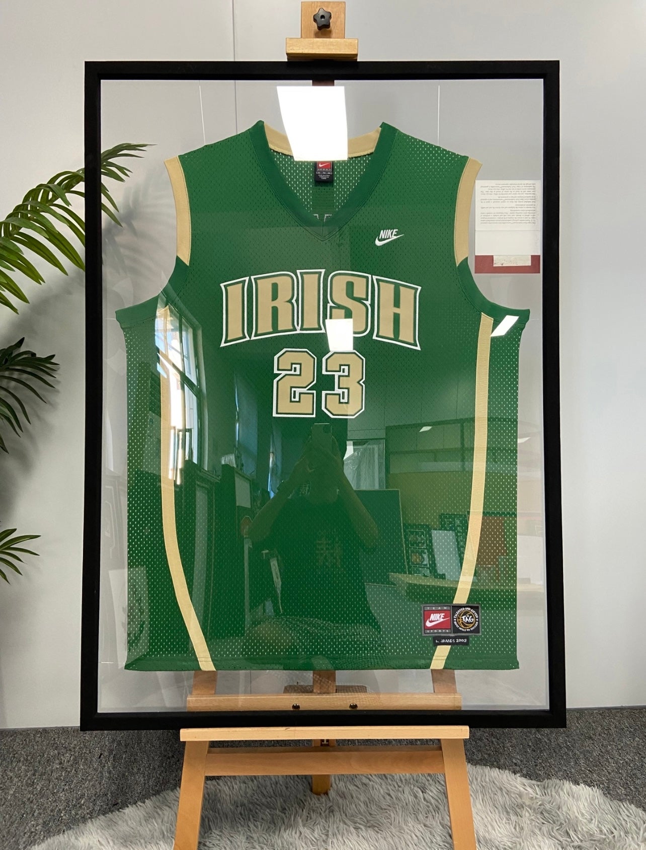 Irish LeBron James Autographed Framed Poster
