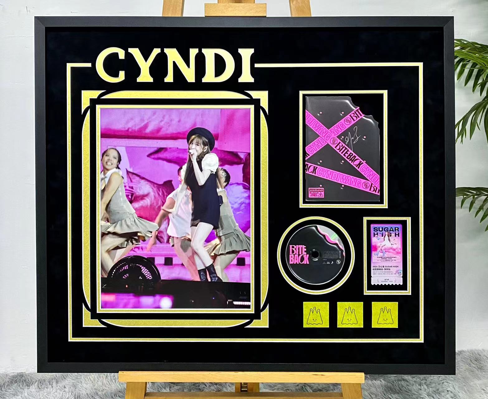Vinyl Records Custom Framed