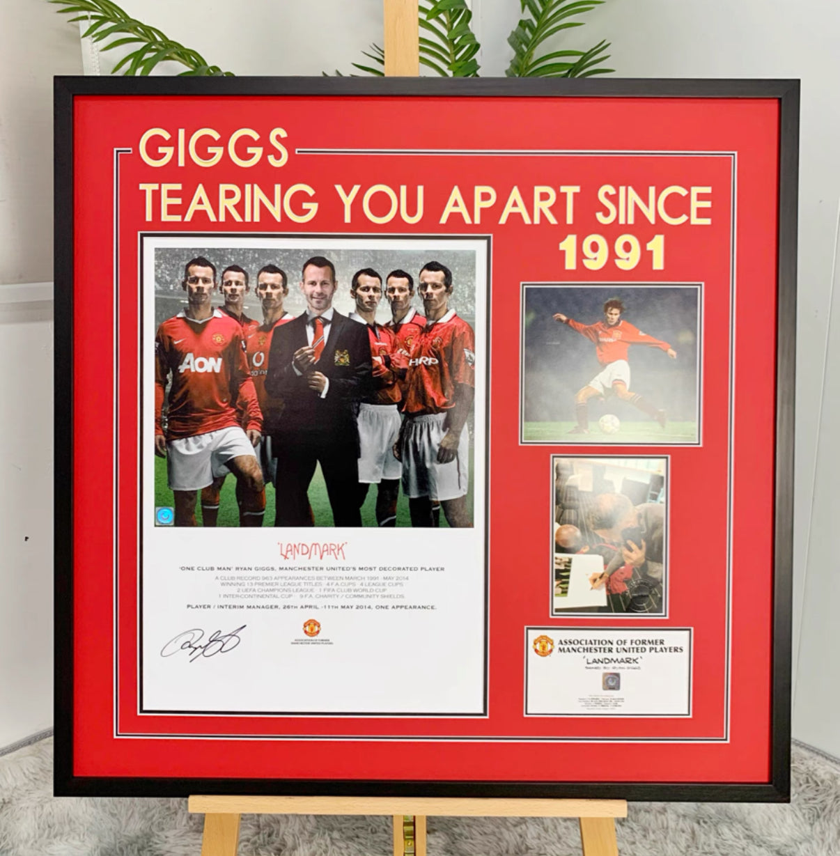 Custom Poster Framing | Wall Mounted Display Frame