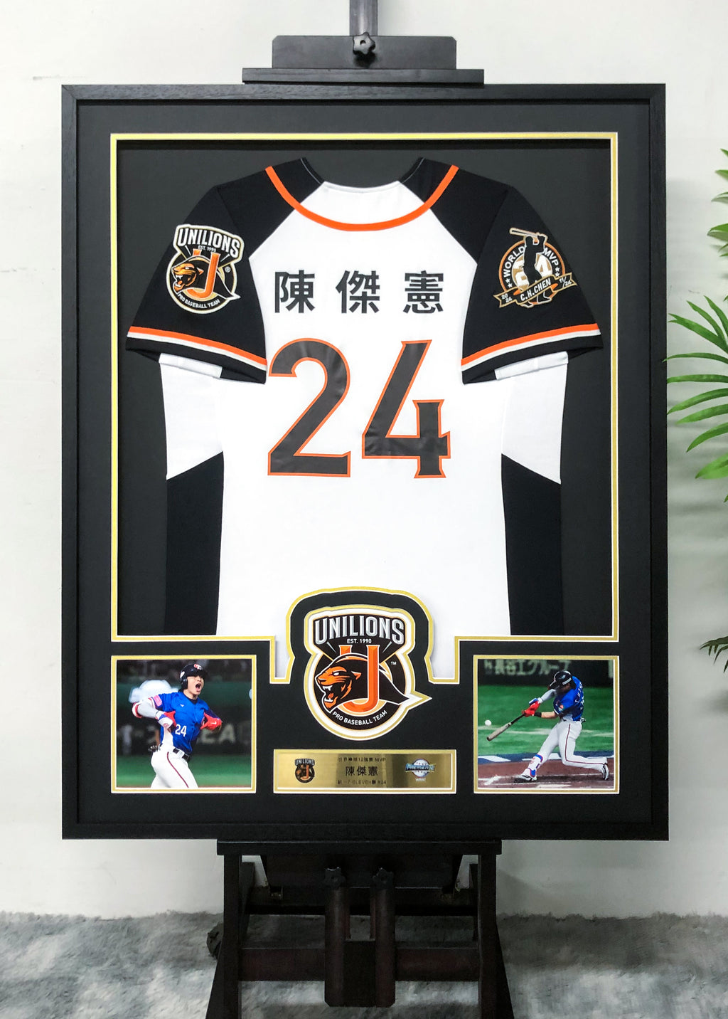 Unilions Jersey Framing