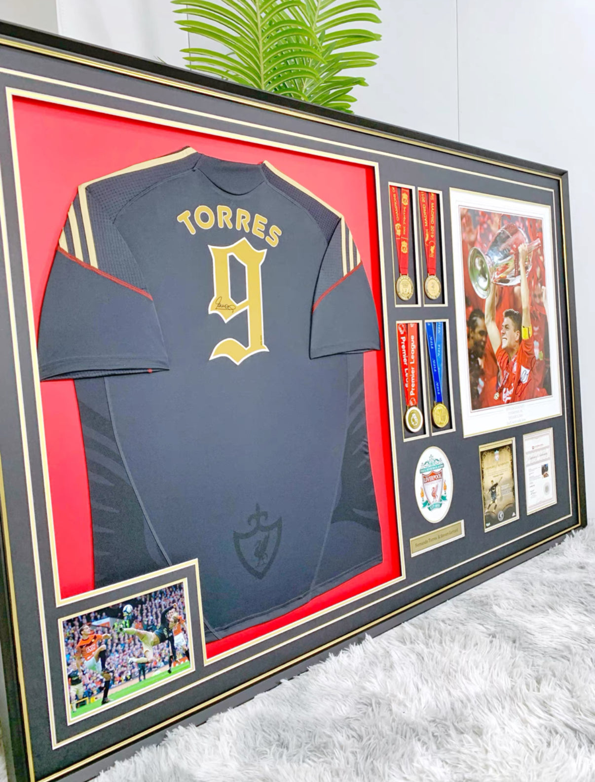 Fernando Torres Sanz Liverpool FC Jersey – Autographed Custom Framing
