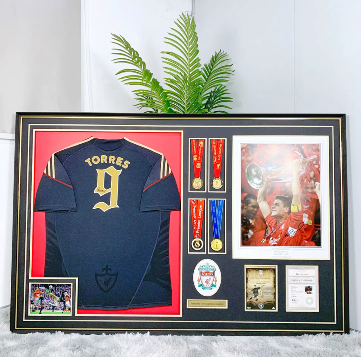 Fernando Torres Sanz Liverpool FC Jersey – Autographed Custom Framing