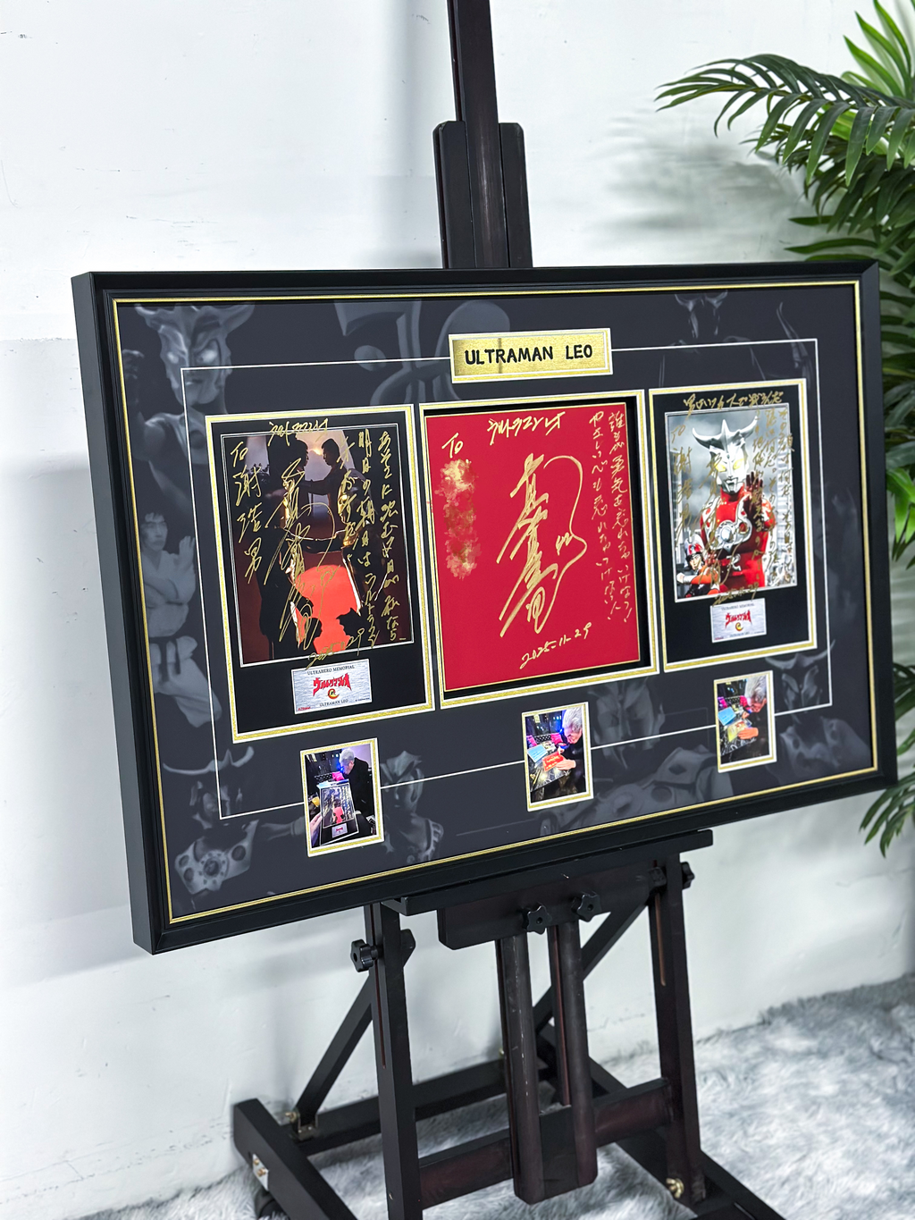 LEO Poster Custom Framing