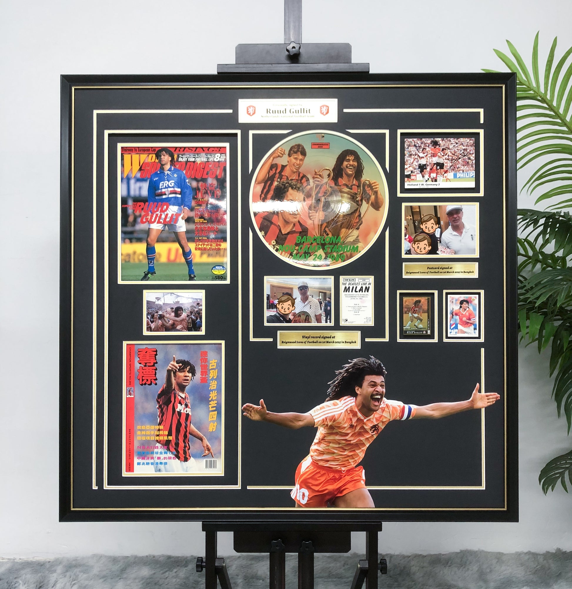 vinyl records custom framing