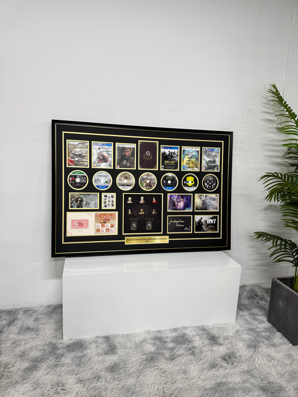 CD Projekt Art Custom Framing