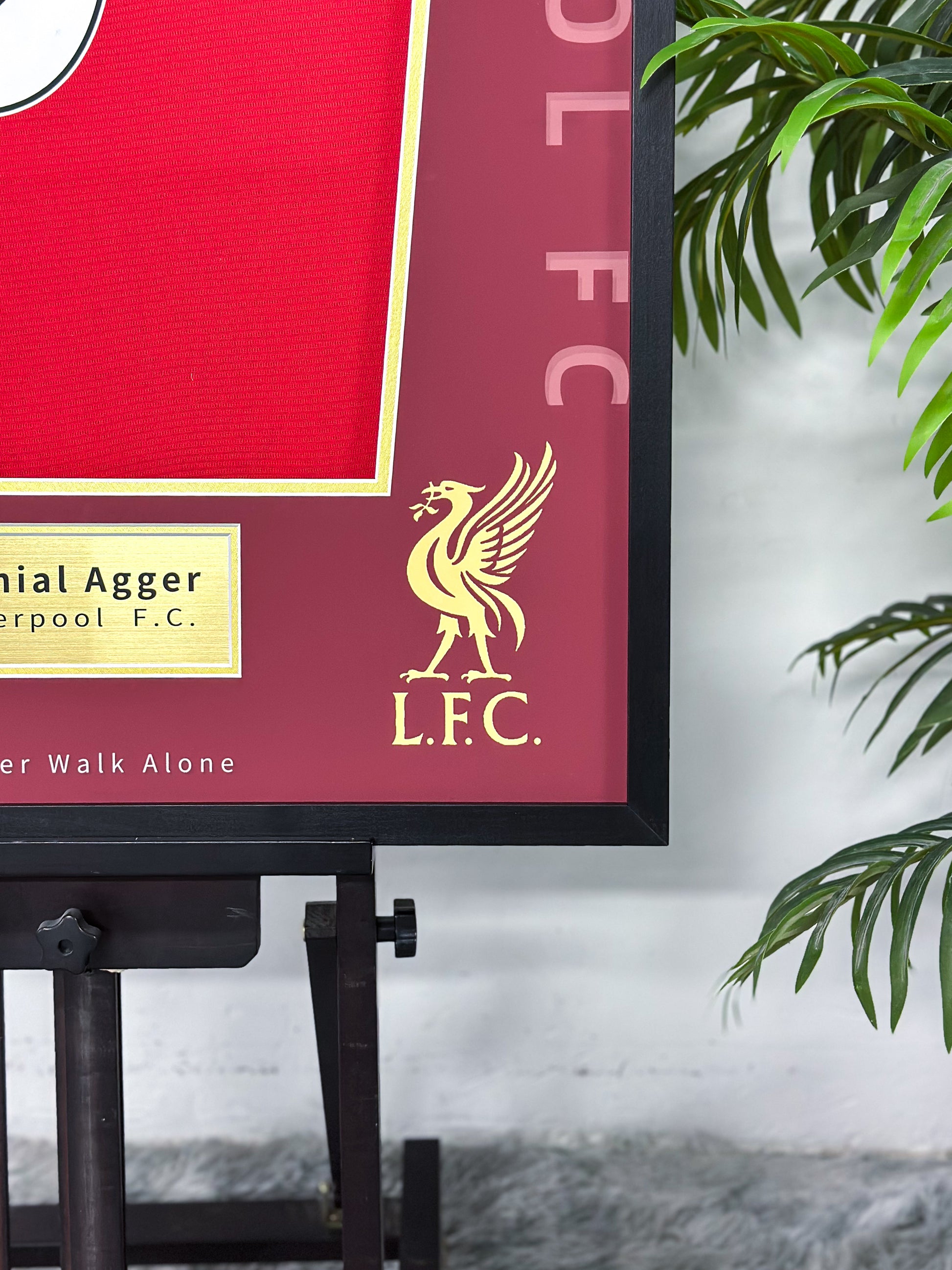 Daniel Agger Liverpool Football Club Jersey Custom Framing