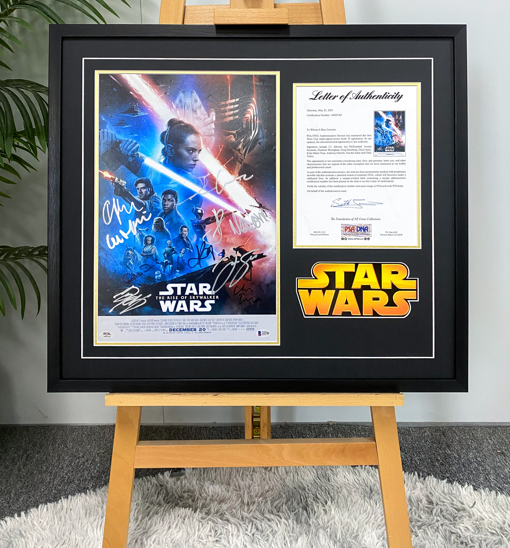 Star Wars & Harry Potter Custom Framed Poster