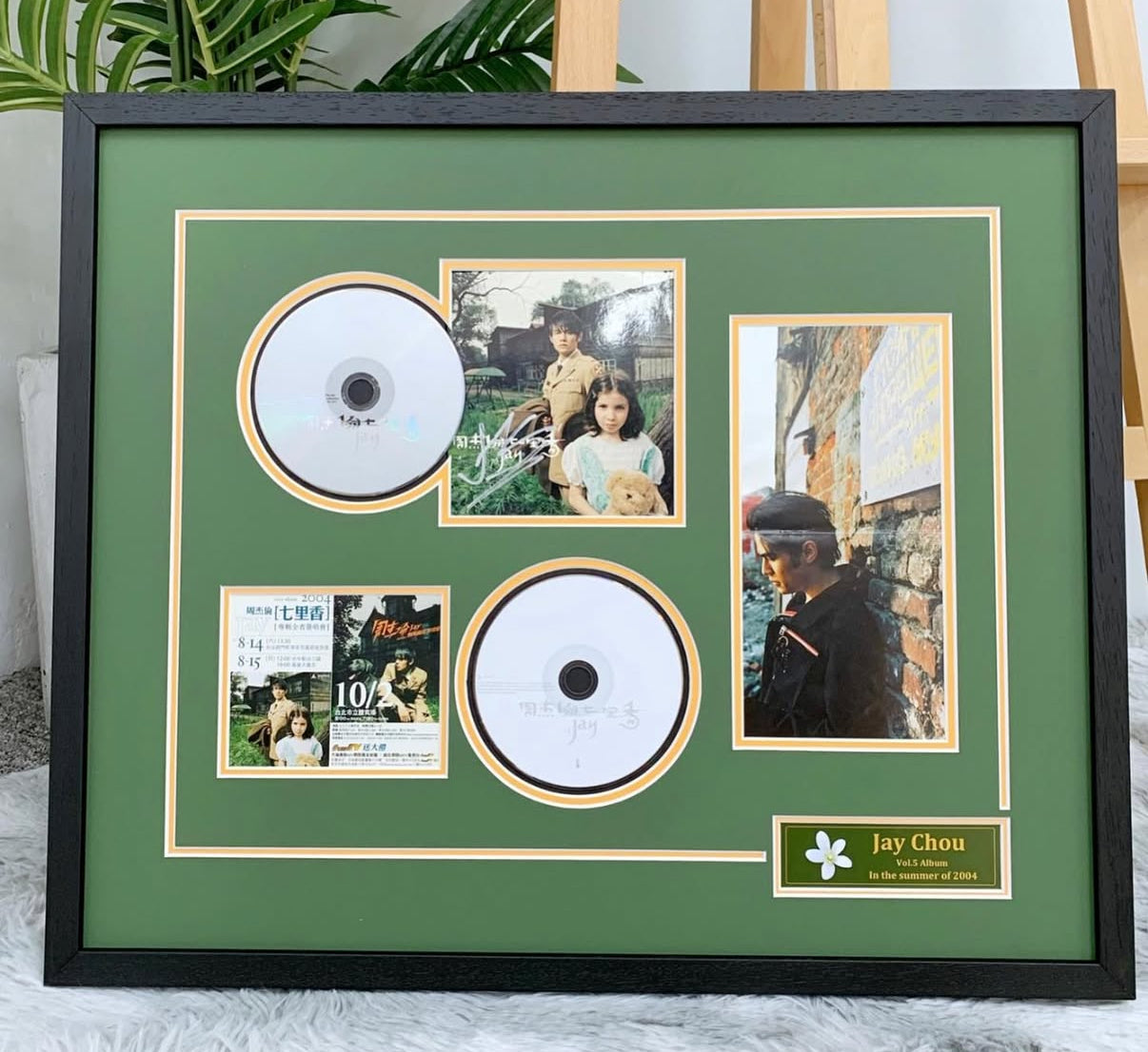 Vinyl Records Custom Framing