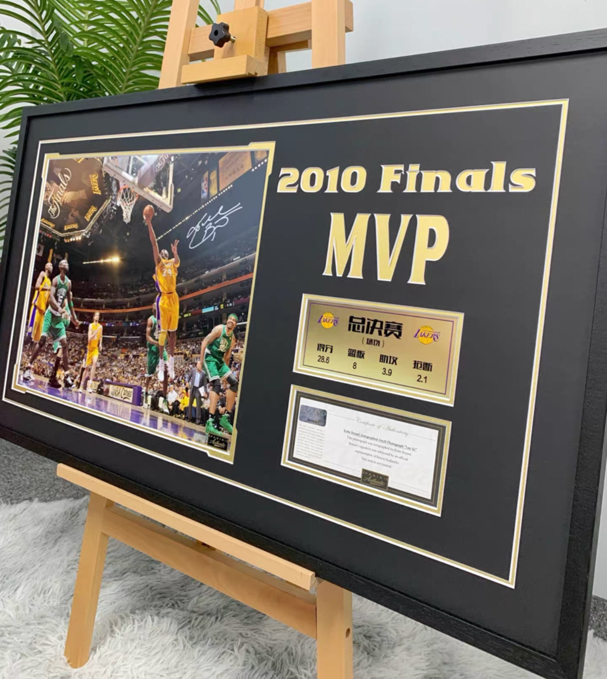Custom Poster Framing | Metal Frame Wall Display