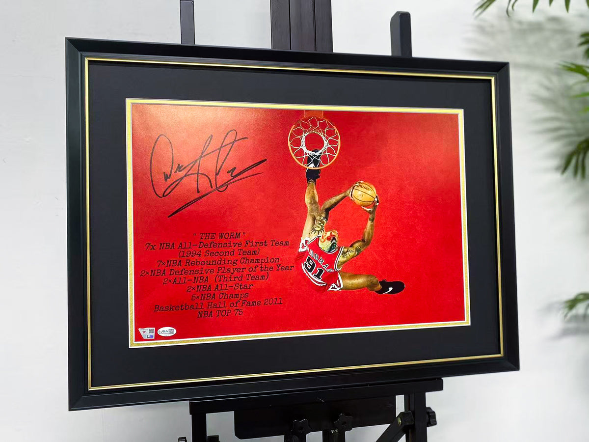 Dennis Rodman Chicago Bulls 91 Signed Dunk Photo Display Frame