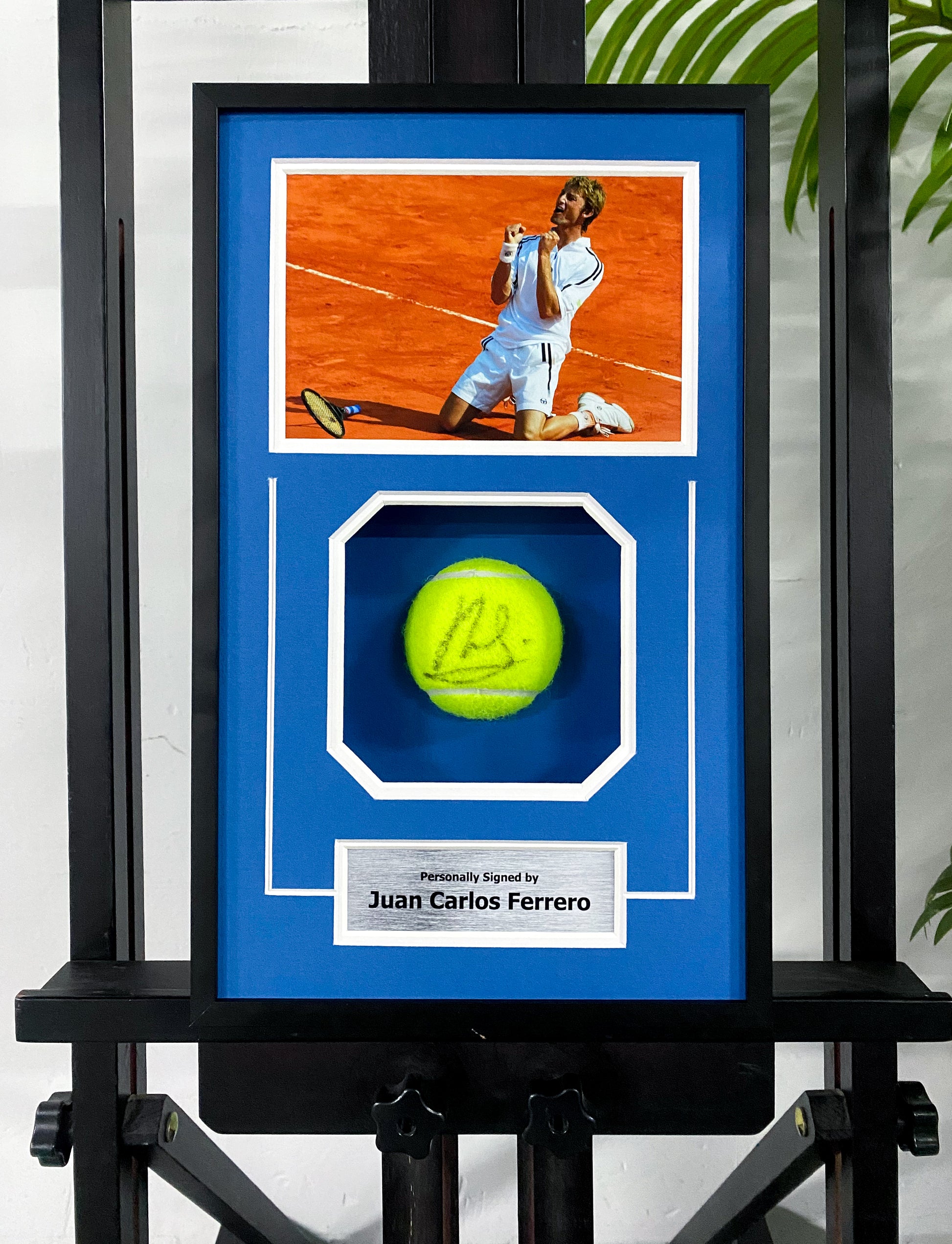 Juan Carlos Ferrero Signed Tennis Ball Framed Display
