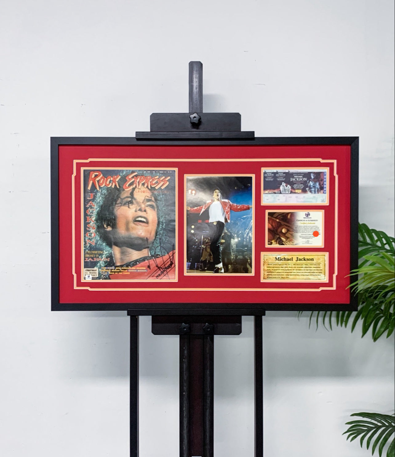 MJ Framed Personalized Keepsakes: Magazines, Books, and Emotional Items