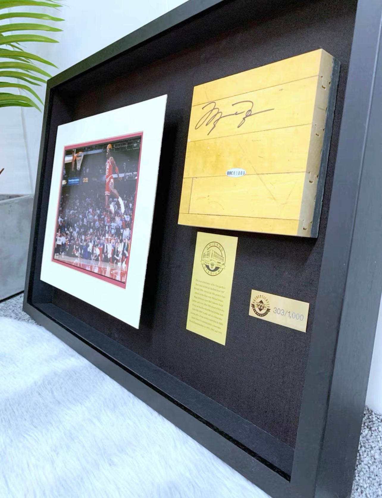 Michael Jordan Collectible Item Custom Framed