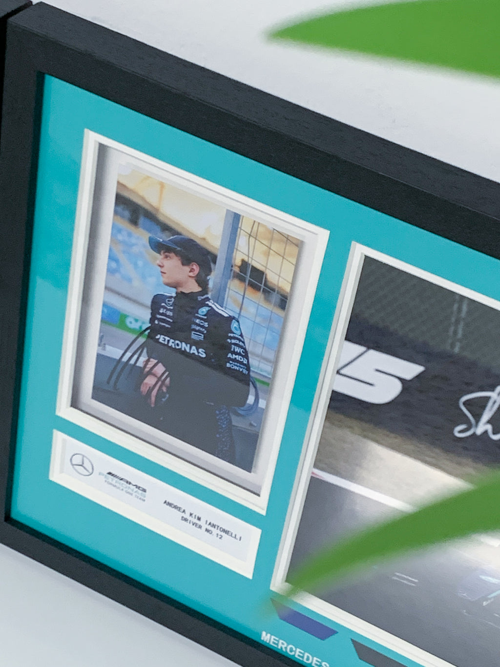 F1 Custom Framing