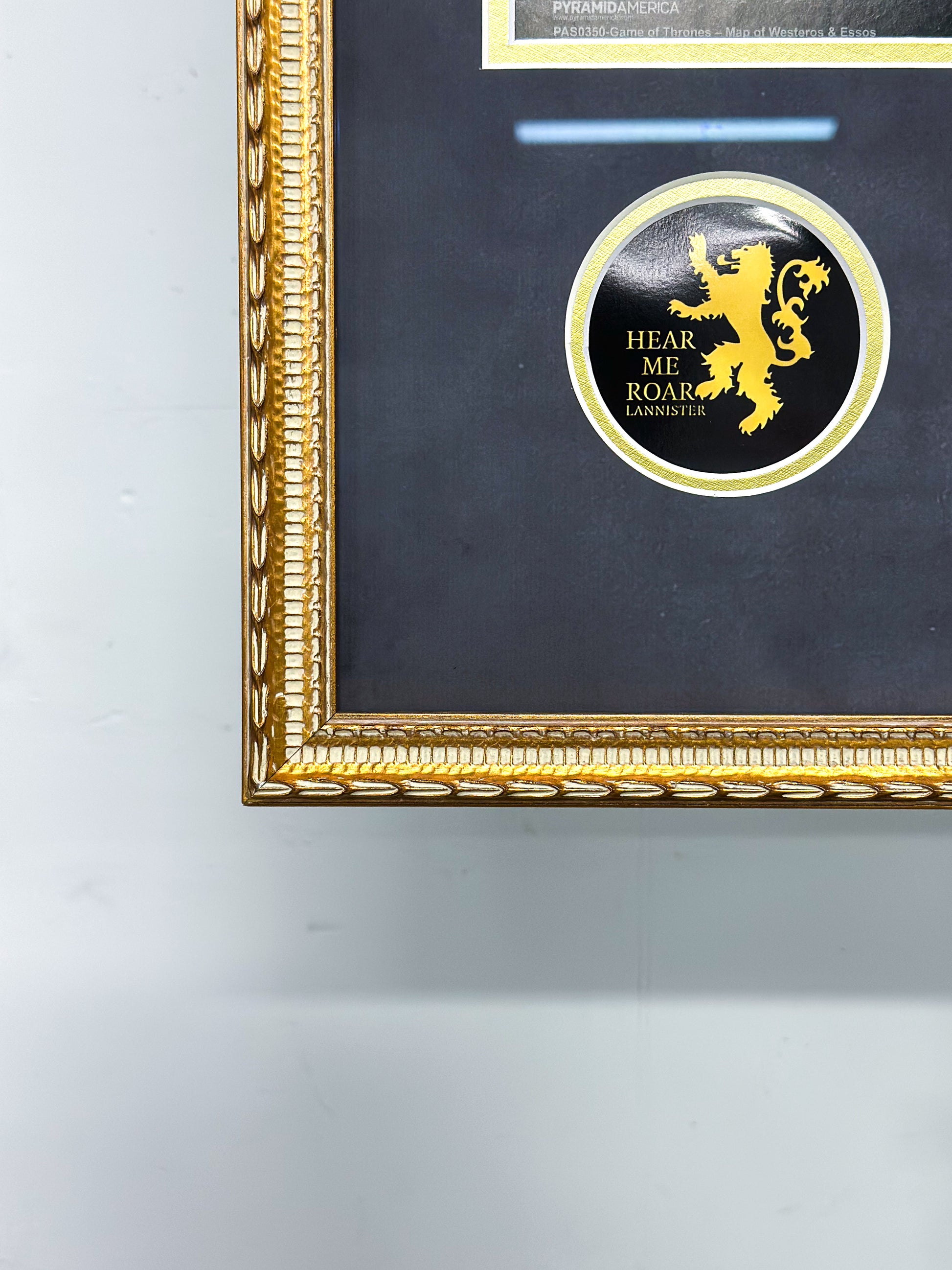 Game of Thrones Custom Framing