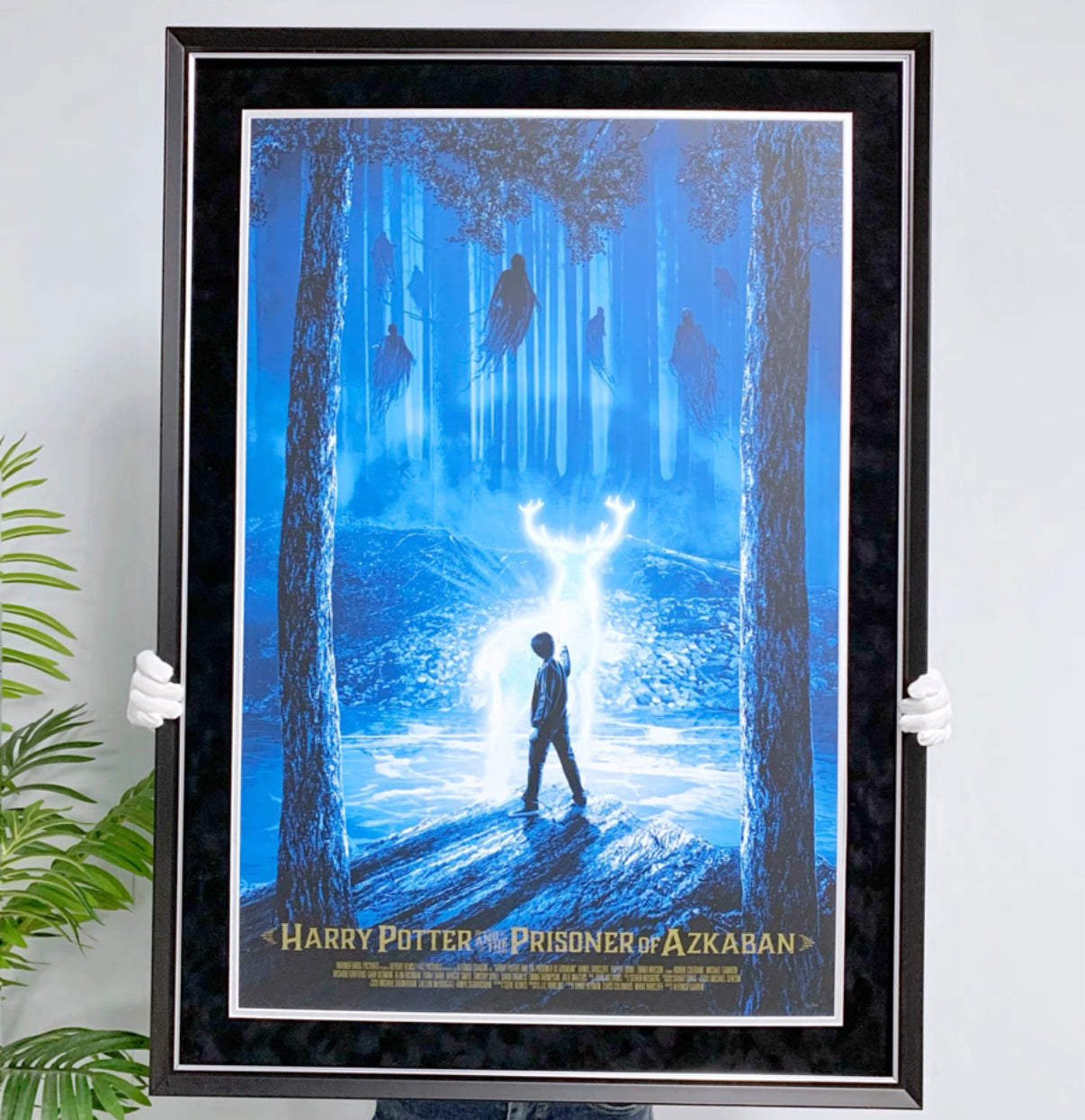 Custom Poster Framing | Large Wall Art Frame Display