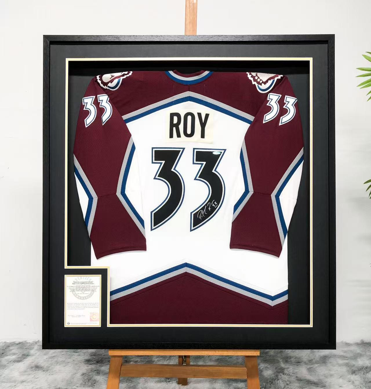 Roy Personalized Custom Design Framed Collectible
