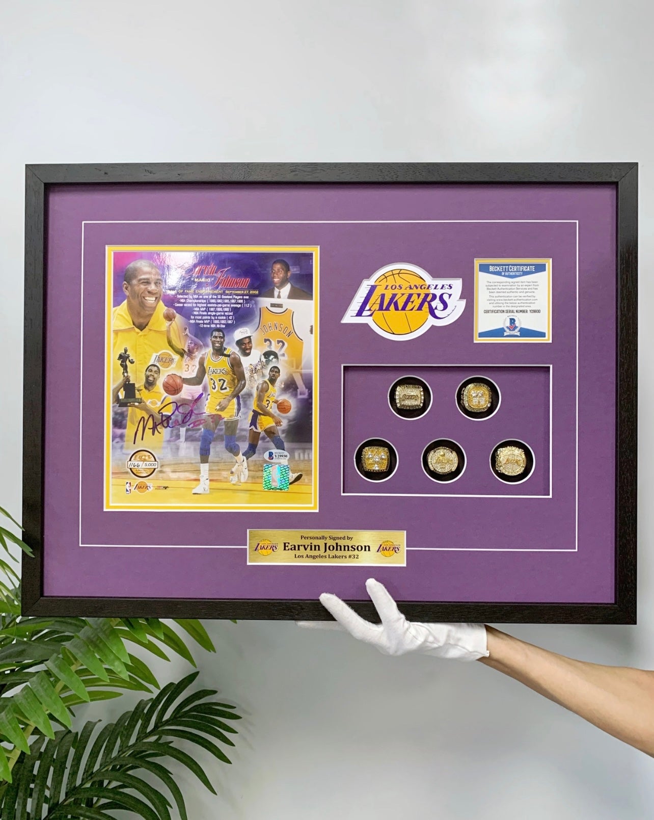 Johnson Custom Framed Poster