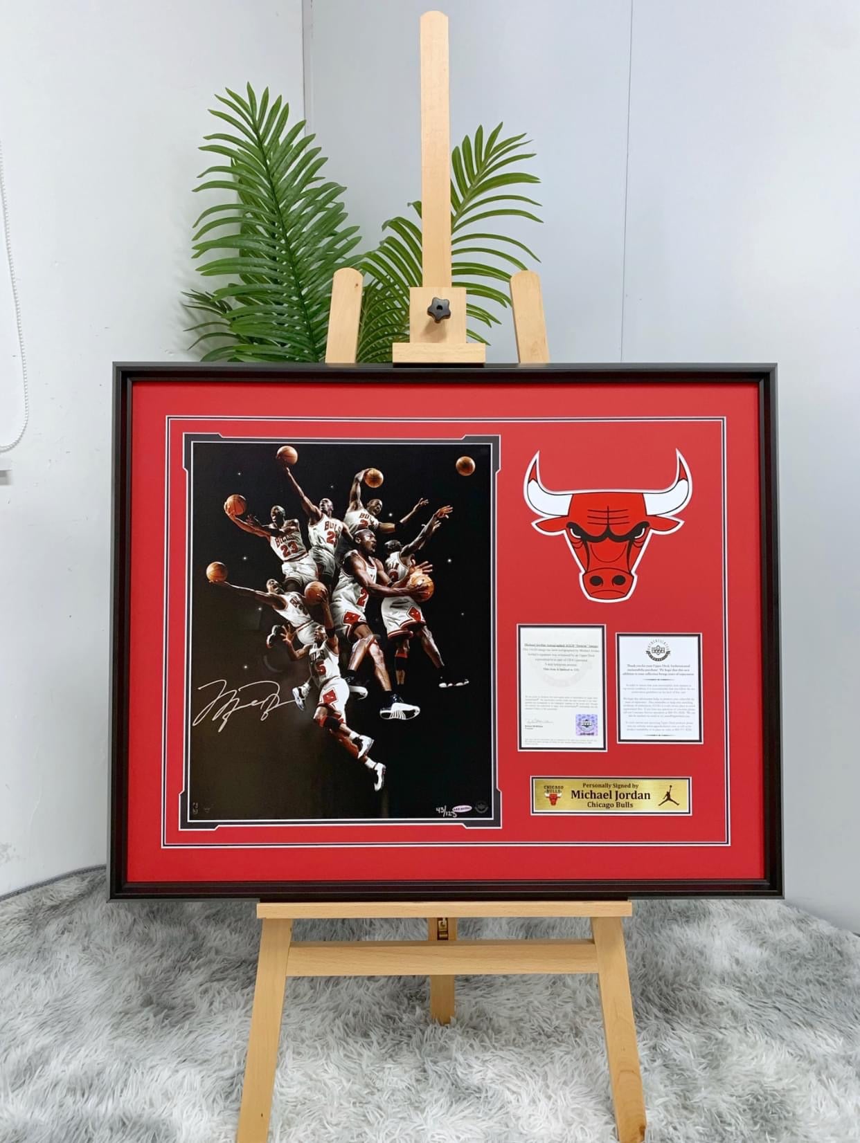 Michael Jordan Custom Framed Poster