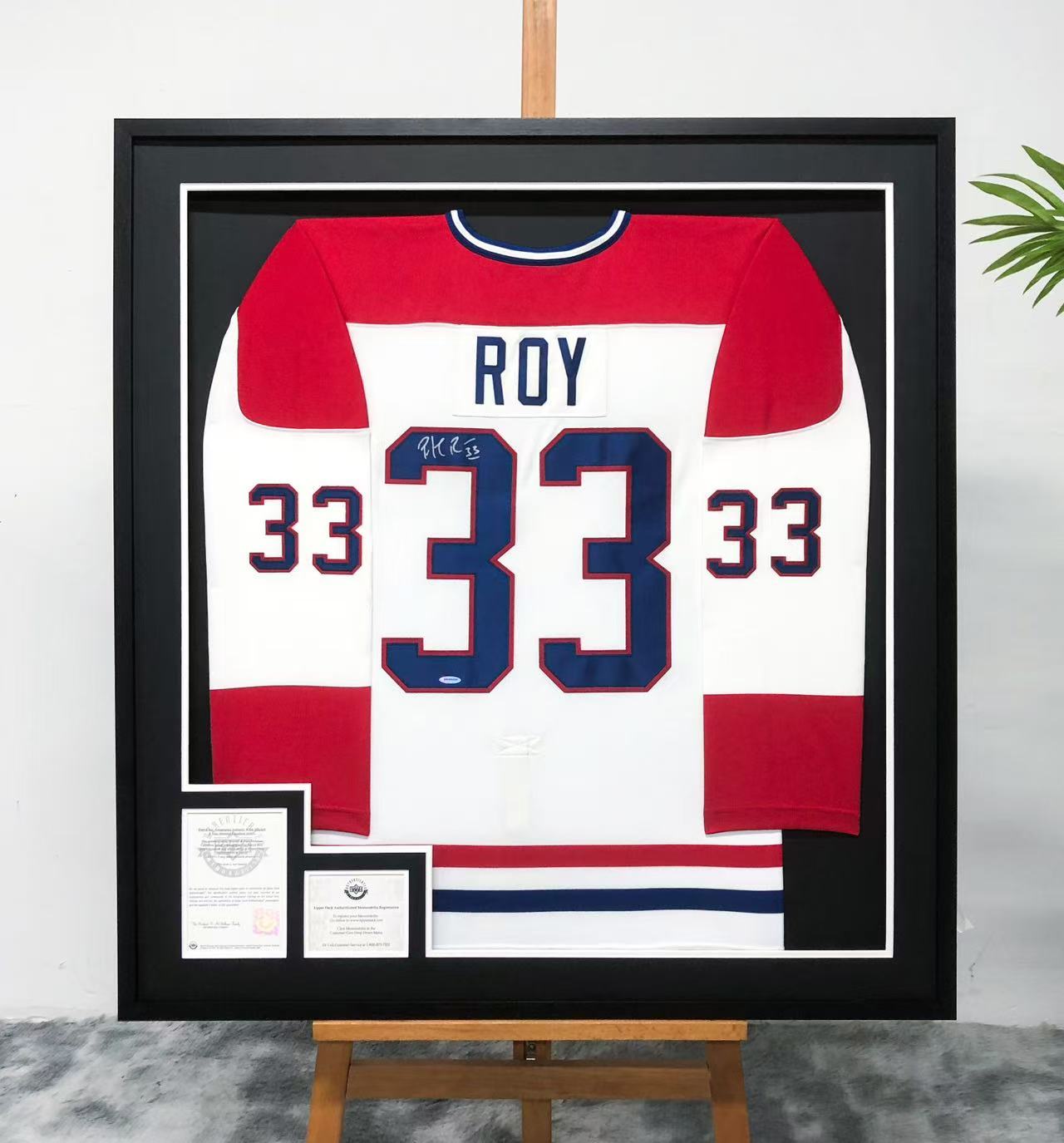 Roy Personalized Custom Design Framed Collectible