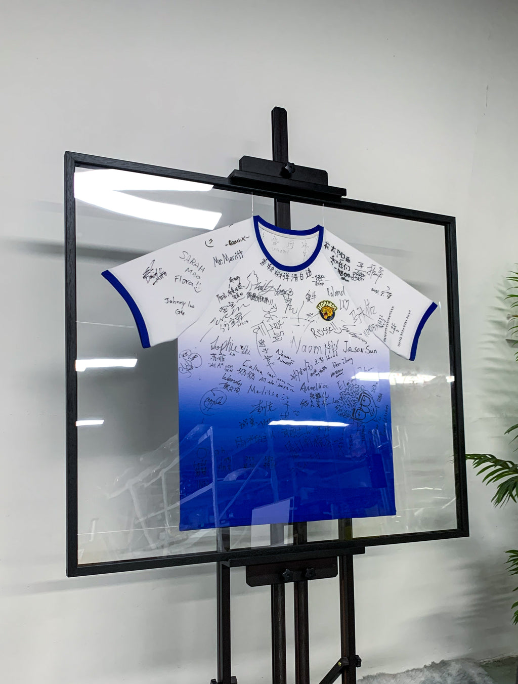 Custom T-Shirt Custom Framing
