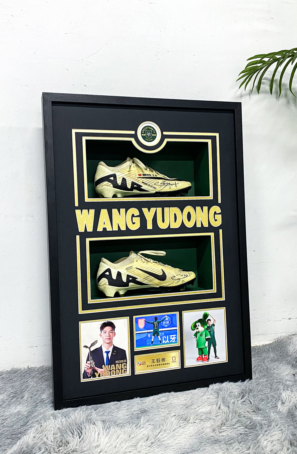 WANG YUDONG Sneakers Custom Framing