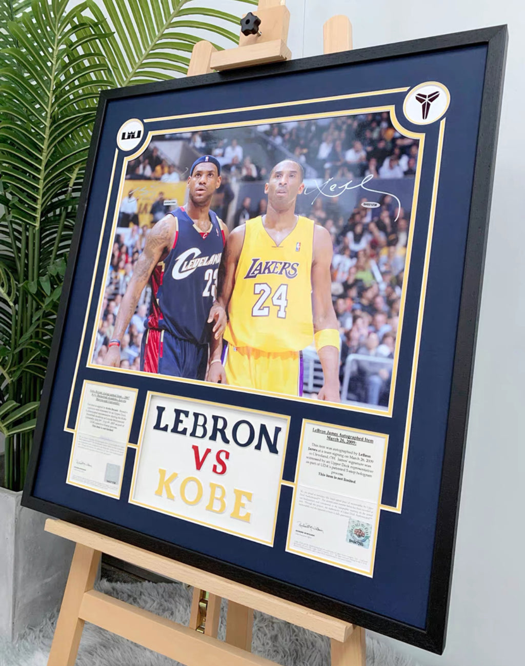 Custom Poster Framing