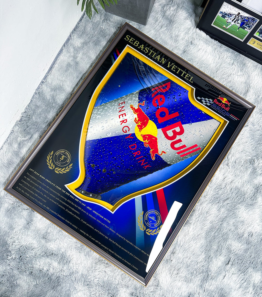 F1 Vettel Red Bull RB6 Left Rear Wing Endplate