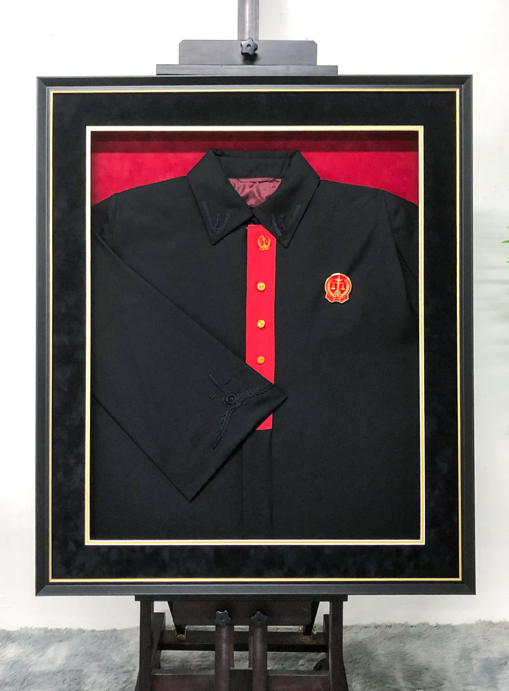 Judge's Robes Framing