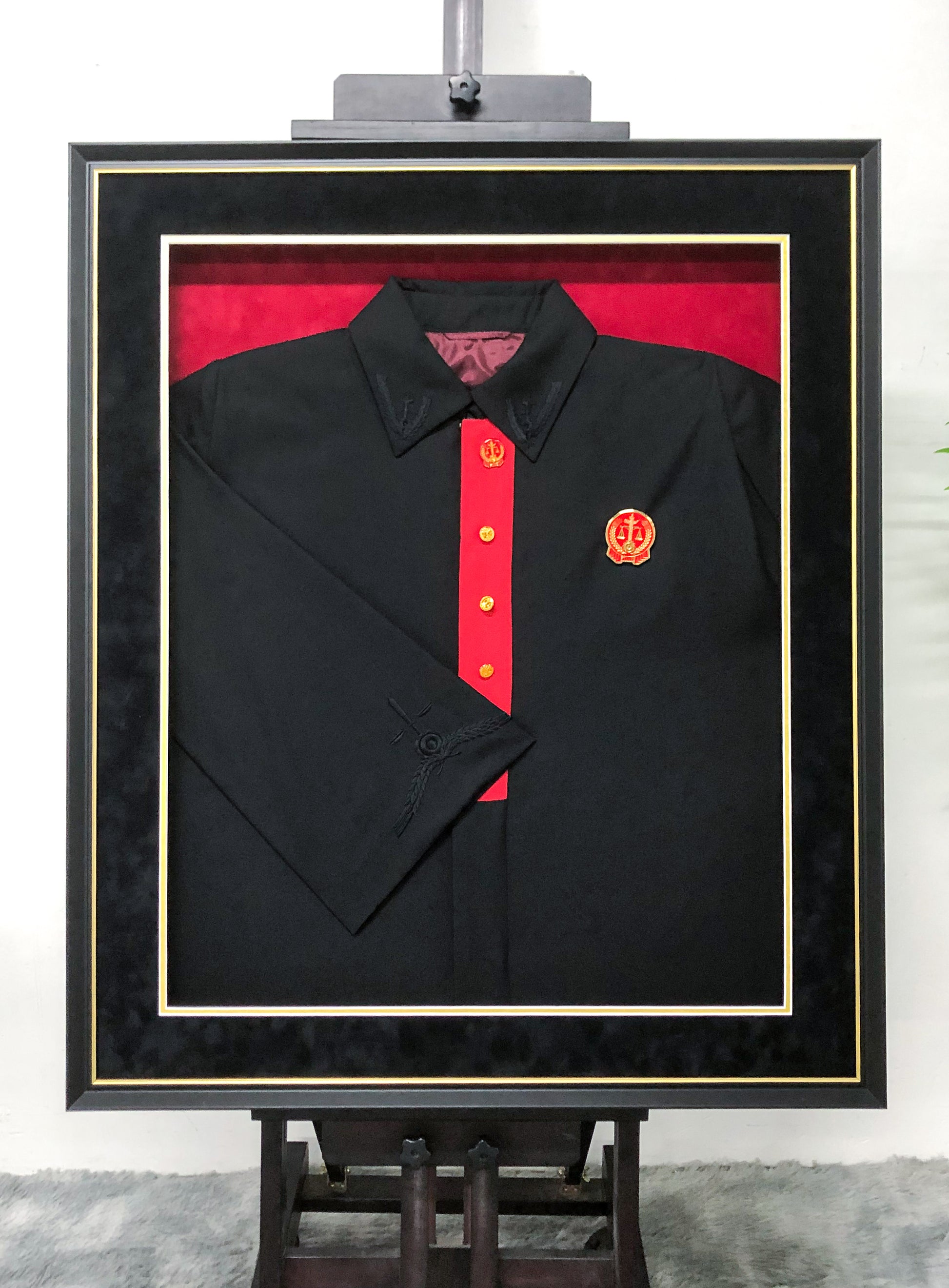 Judge's Robes Framing