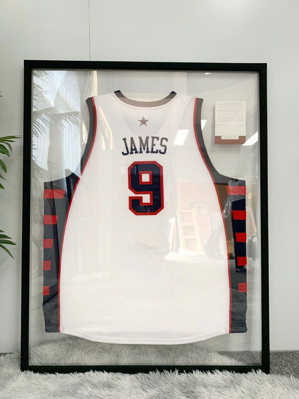 USA Team LeBron James Autographed Framed Jersey