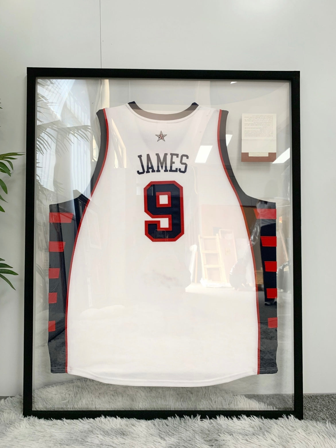 USA Team LeBron James Autographed Framed Jersey