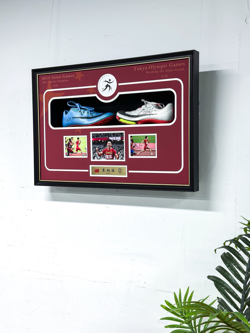 Custom Framed Sneakers