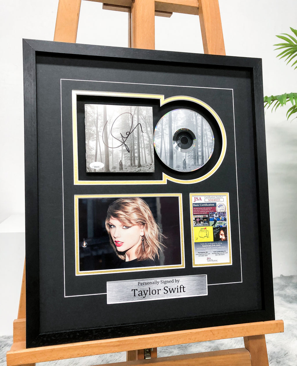 Taylor Swift Vinyl Records Custom Framing