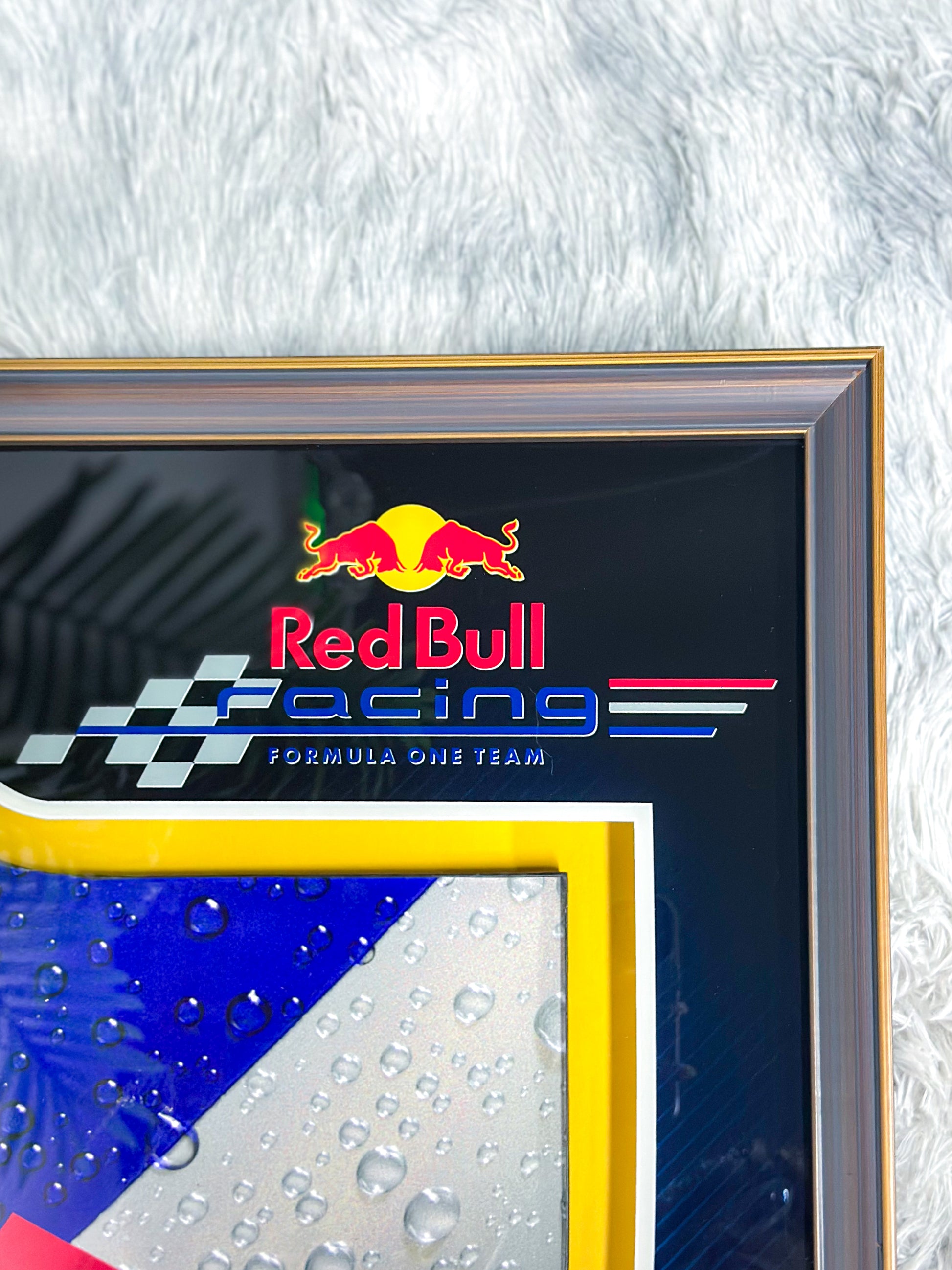 F1 Vettel Red Bull RB6 Left Rear Wing Endplate