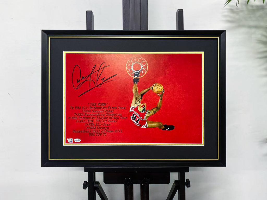 Dennis Rodman Chicago Bulls 91 Signed Dunk Photo Display Frame
