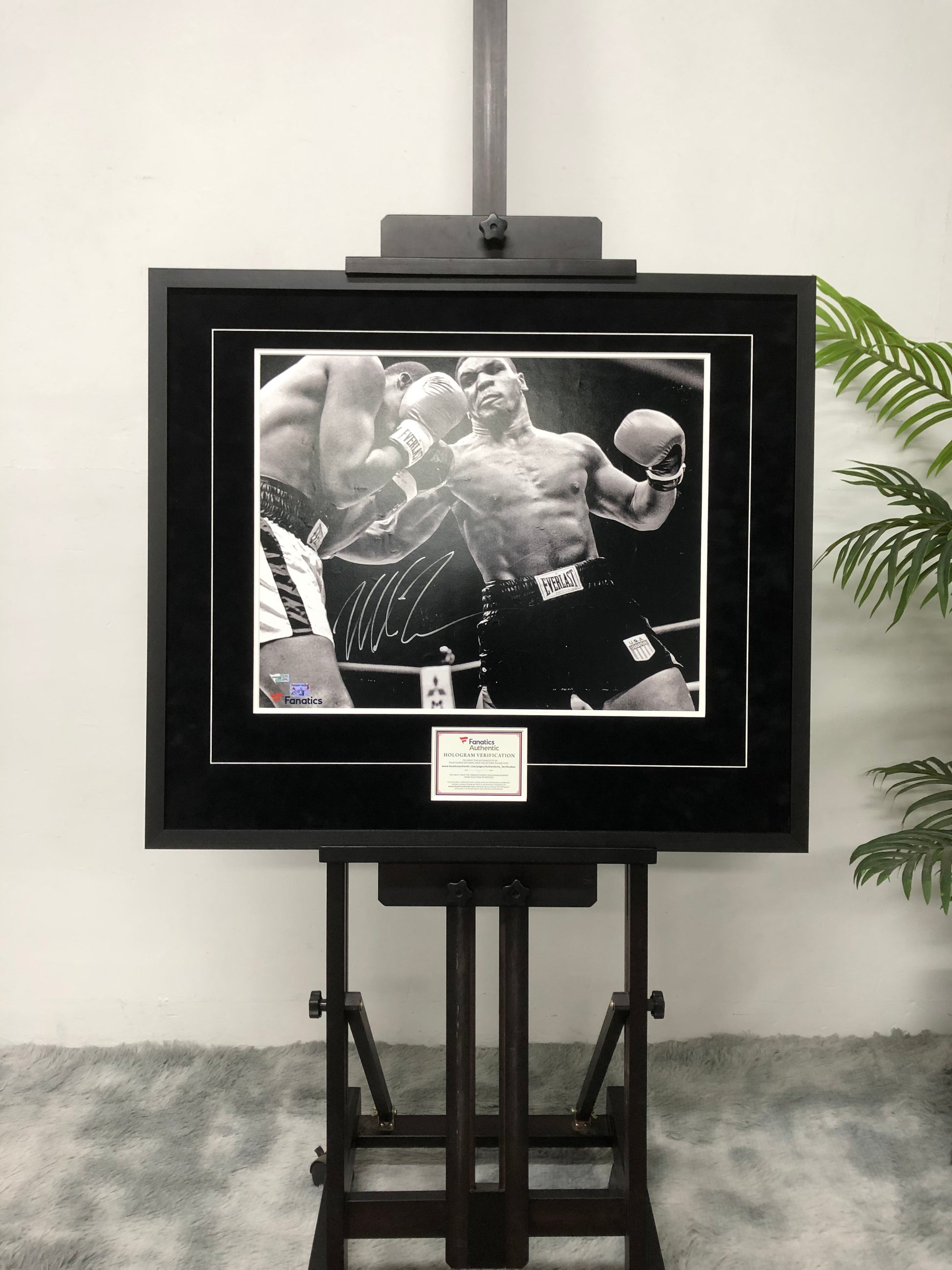 Mike Tyson Custom Poster Framing