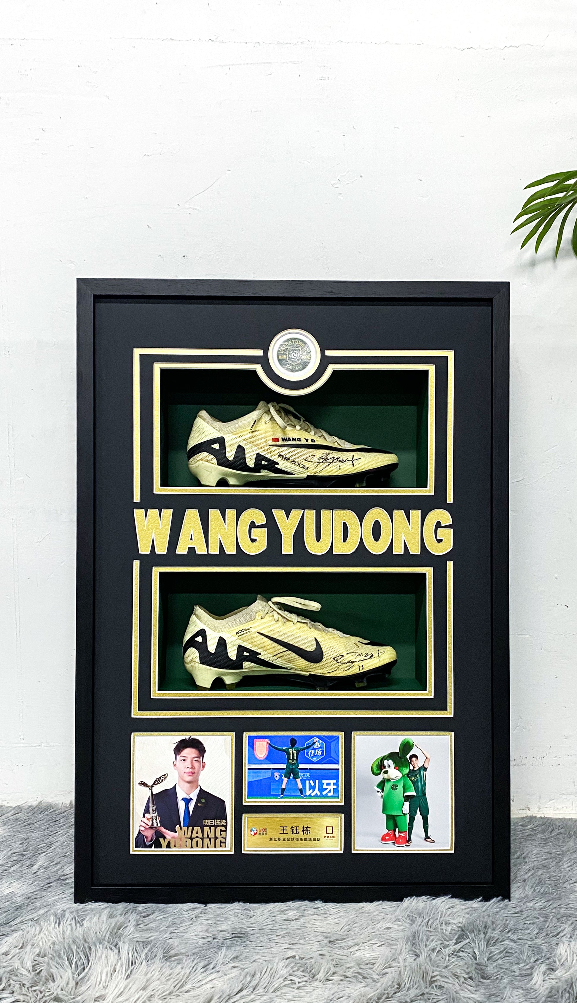 WANG YUDONG Sneakers Custom Framing