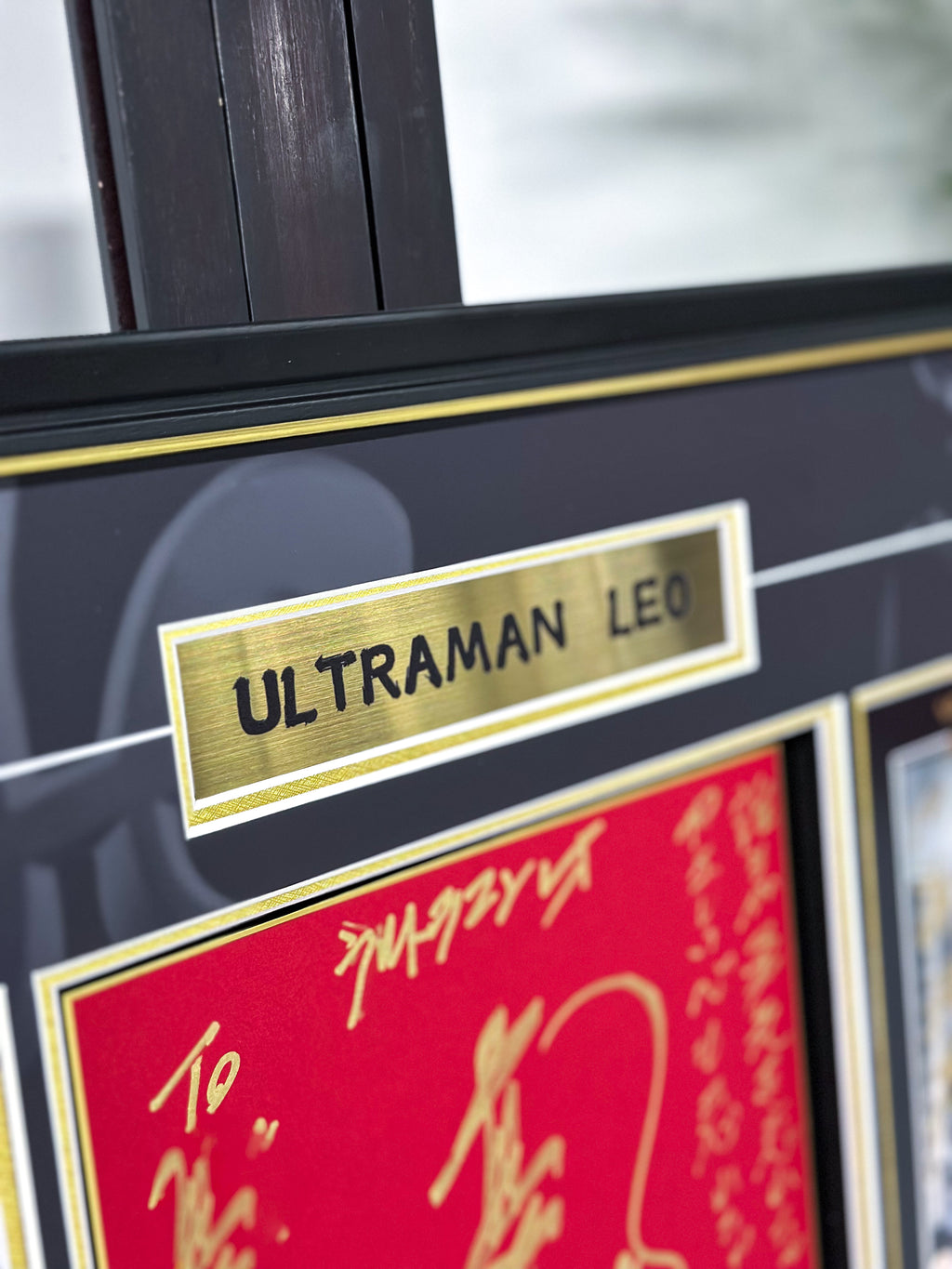 LEO Poster Custom Framing