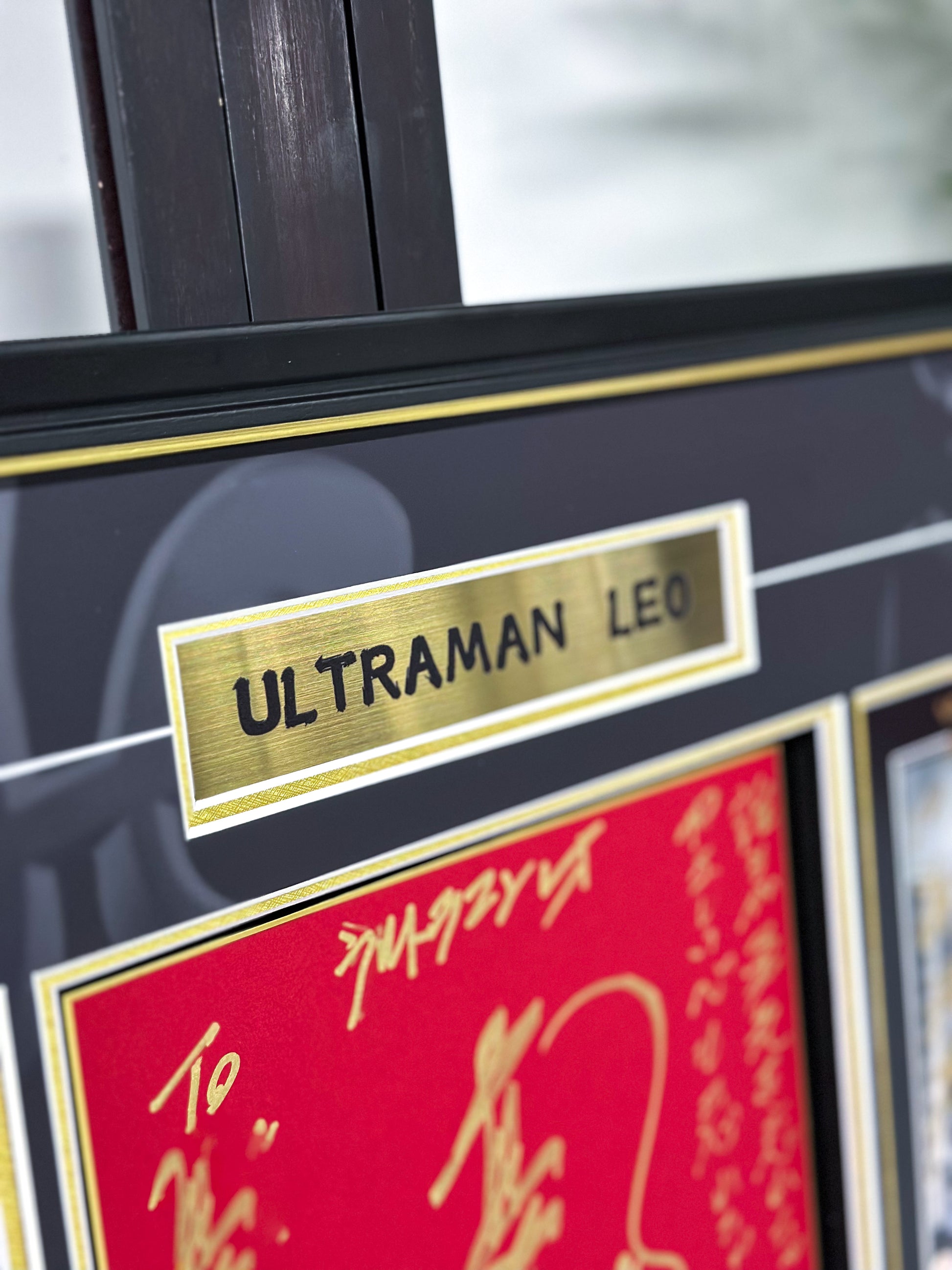 LEO Poster Custom Framing