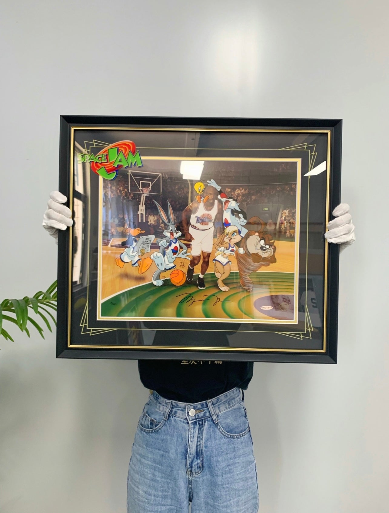 Michael Jordan Custom Framed Poster