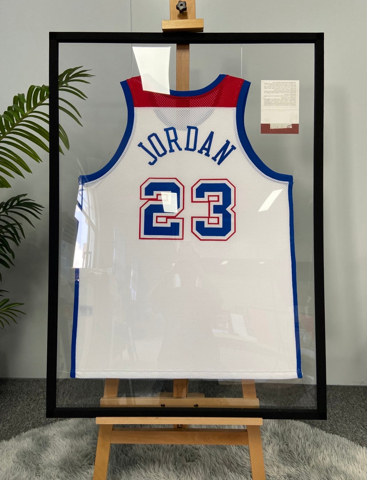 Washington Wizards Michael Jordan Autographed Framed Jersey