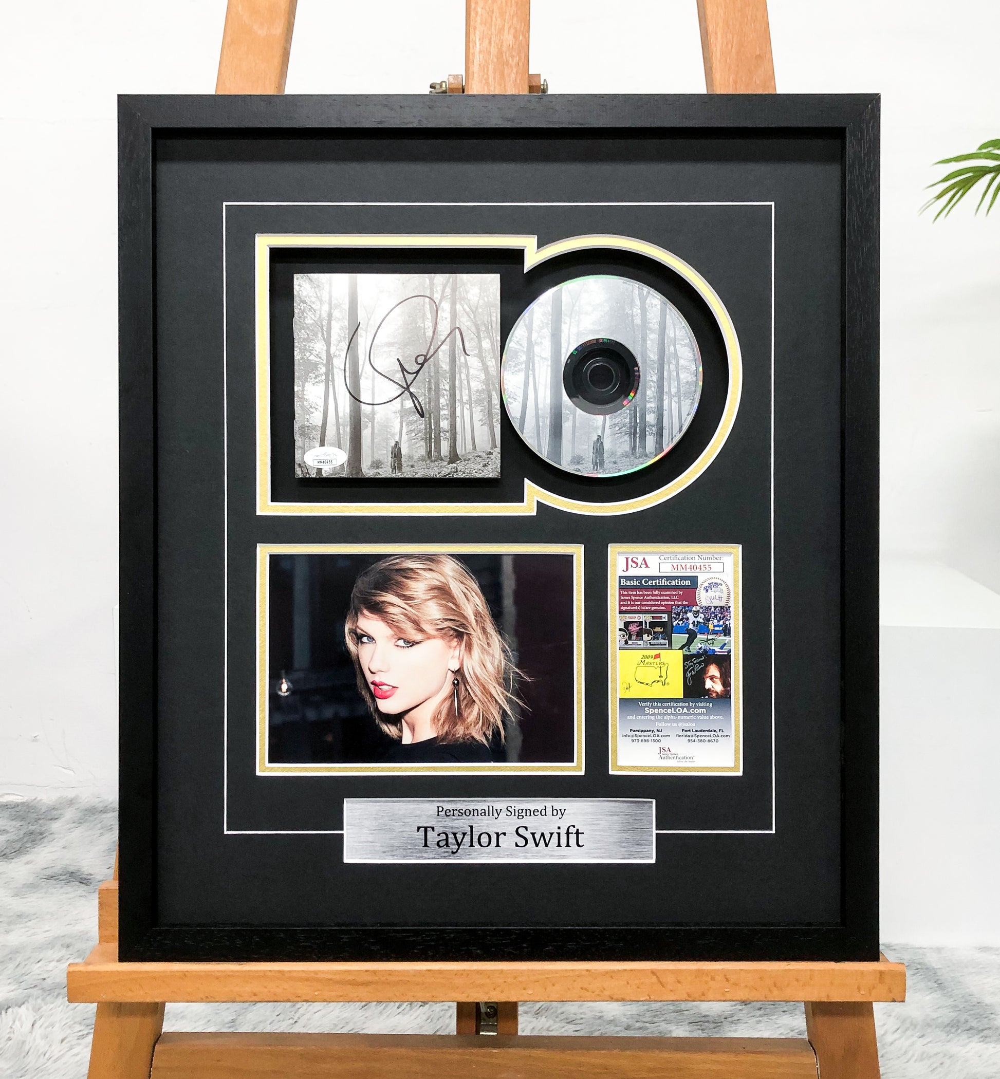 Taylor Swift Vinyl Records Custom Framing