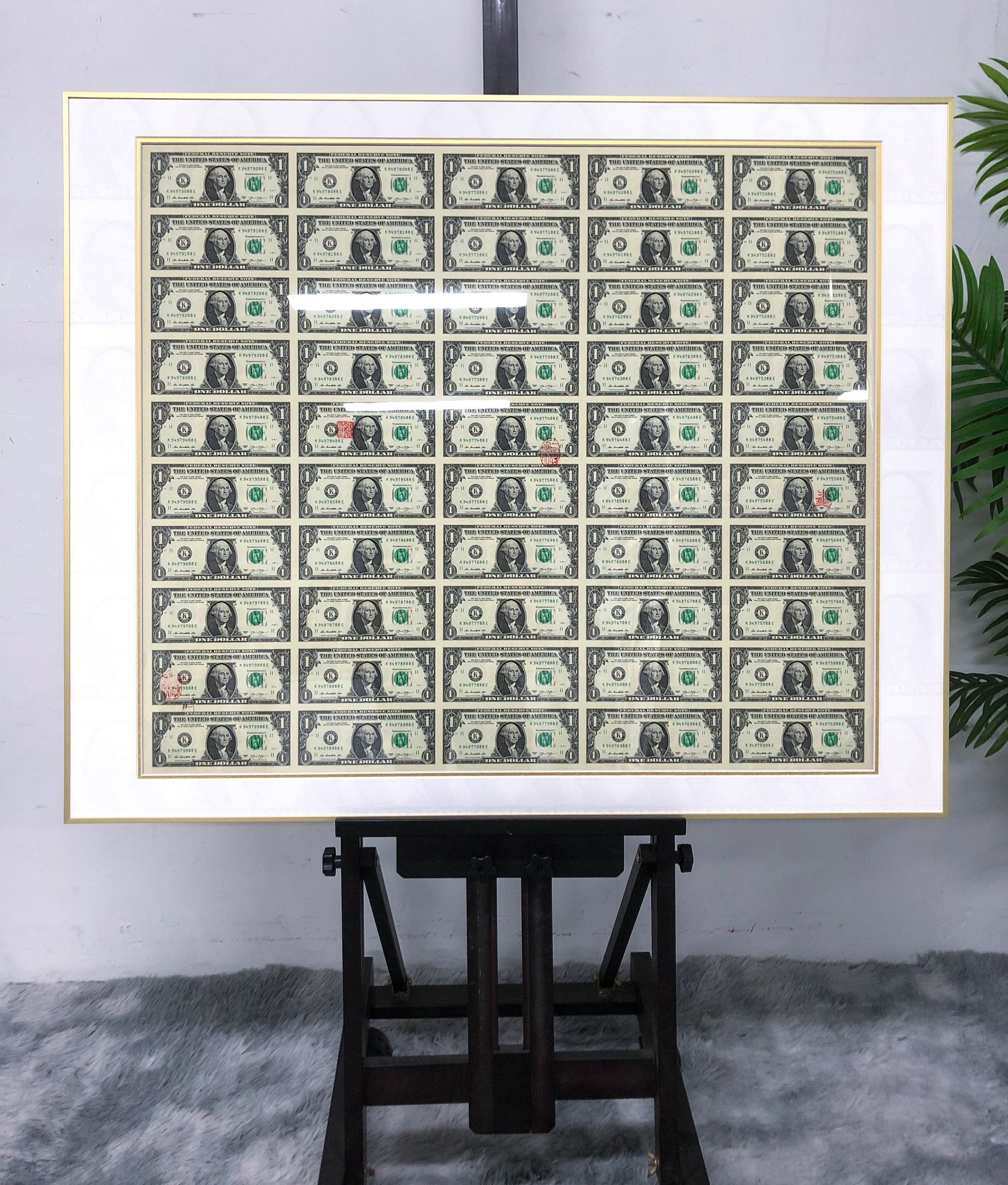 Banknote Custom Framing