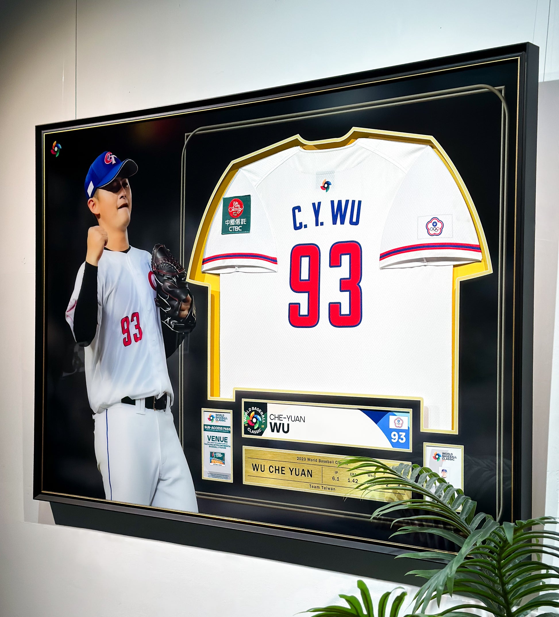 Custom Framed Personal Baseball Jersey