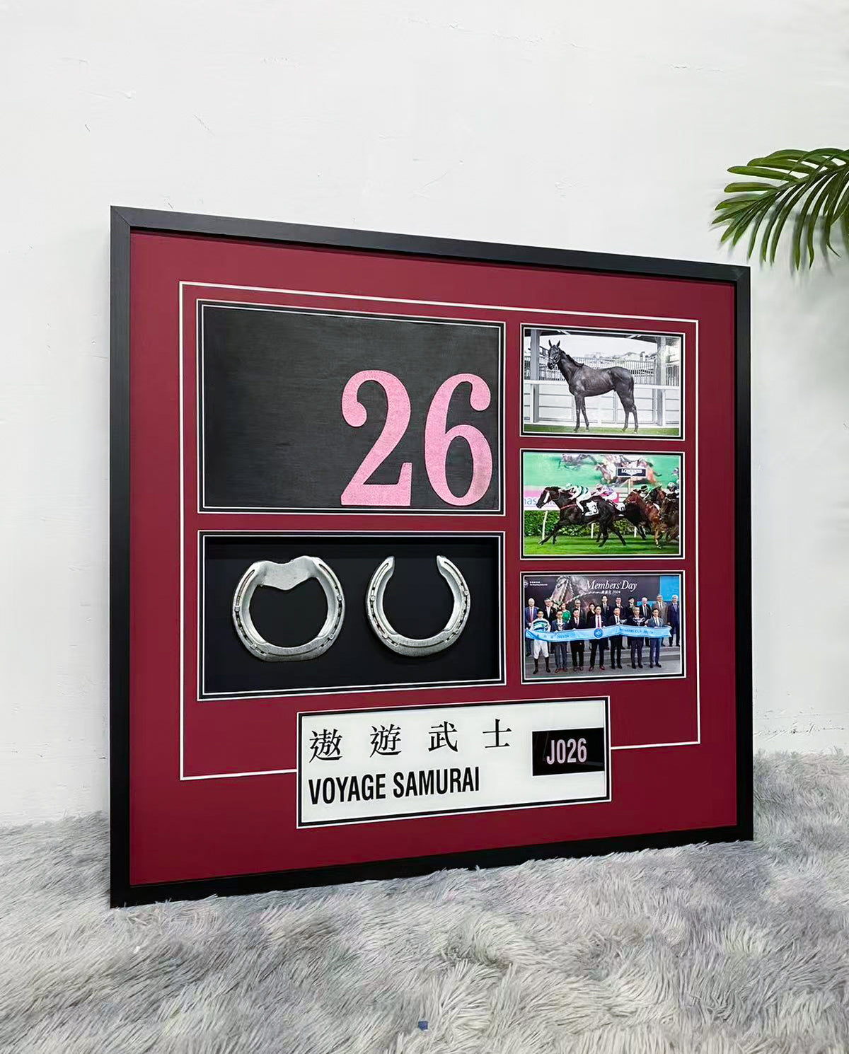 Voyage Samurai Hong Kong Racehorse Horseshoes Display Frame – J026