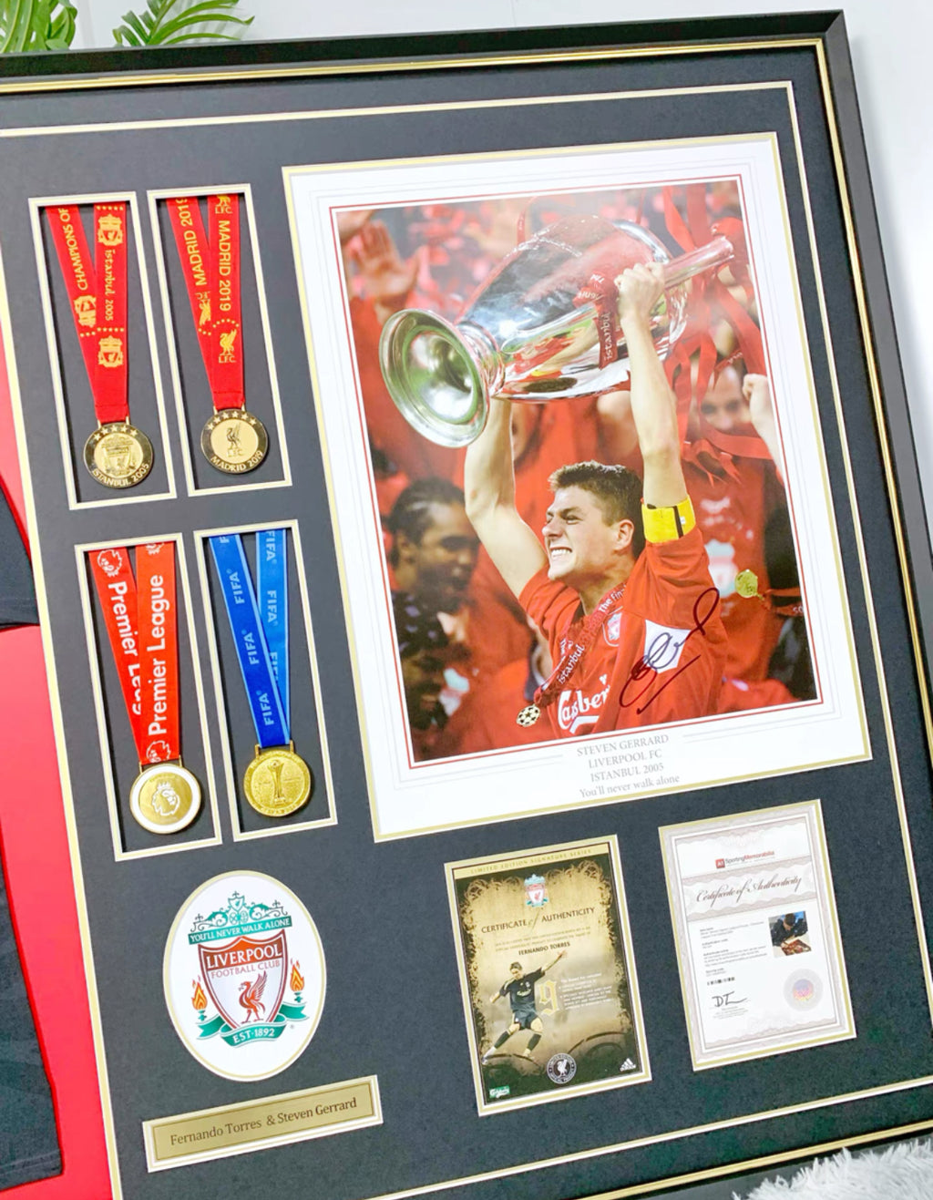 Fernando Torres Sanz Liverpool FC Jersey – Autographed Custom Framing