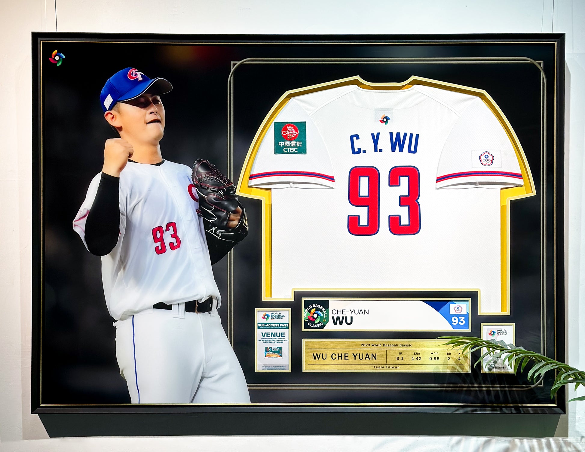 Custom Framed Personal Baseball Jersey