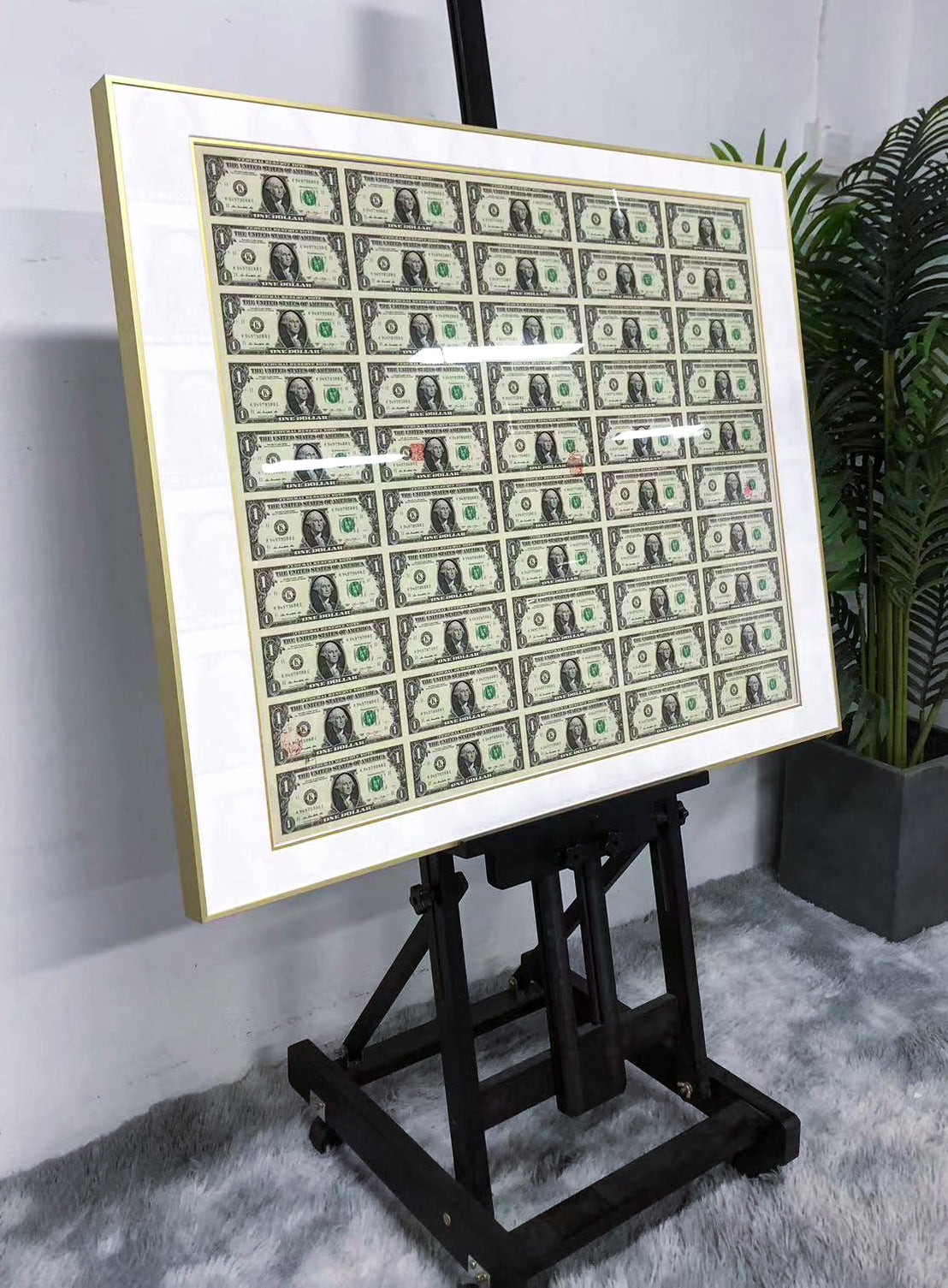 Banknote Custom Framing